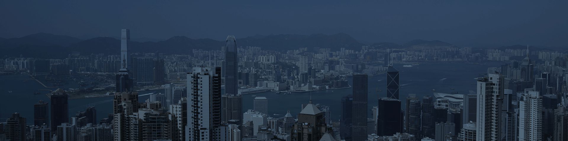 company-banner-image