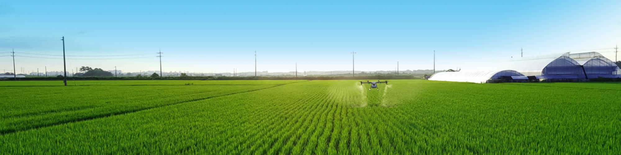 company-banner-image