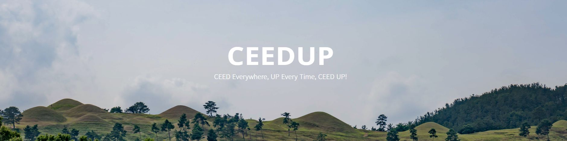 company-banner-image