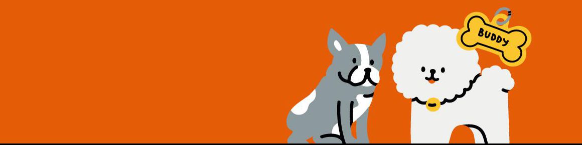 company-banner-image