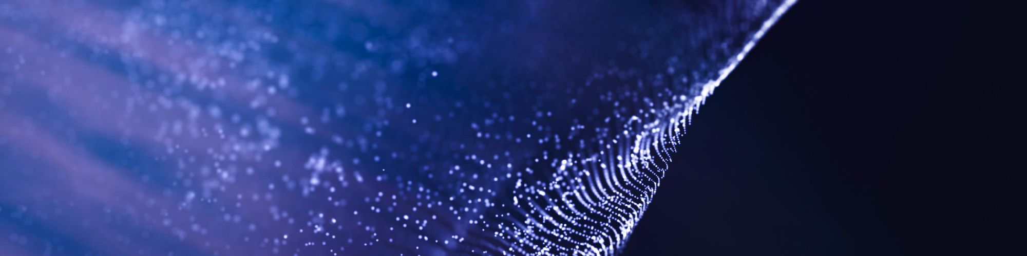 company-banner-image