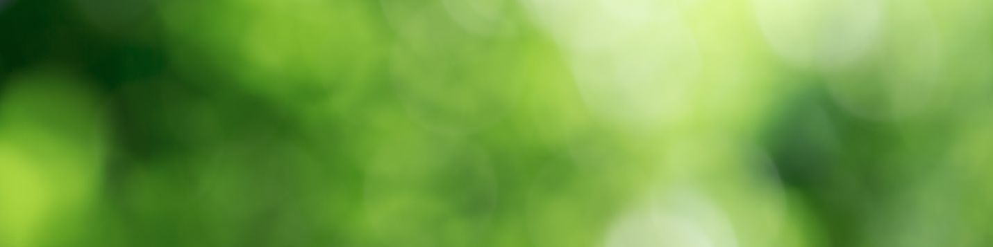 company-banner-image