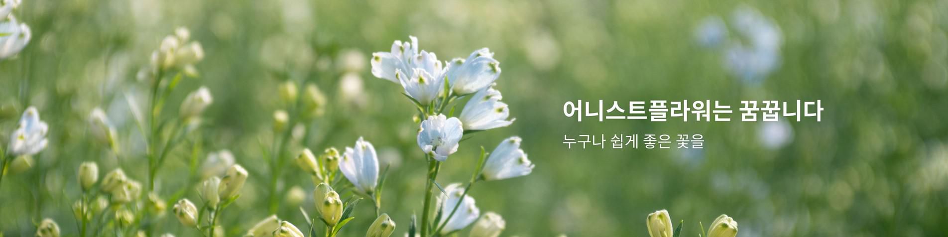 company-banner-image