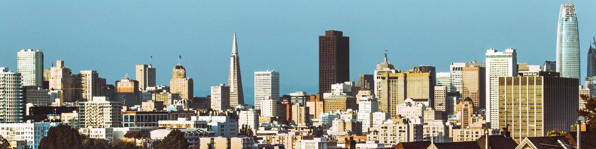 company-banner-image