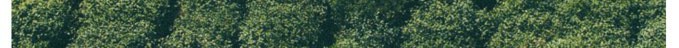 company-banner-image