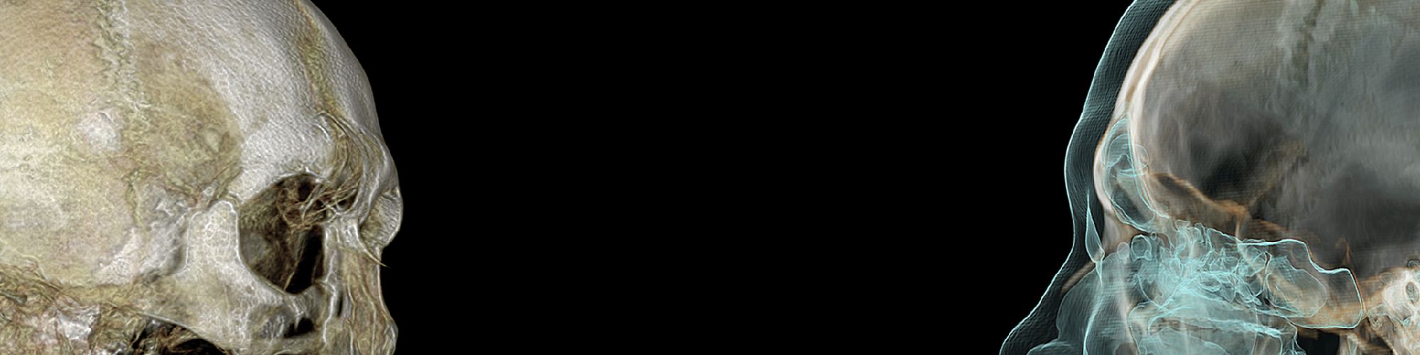 company-banner-image