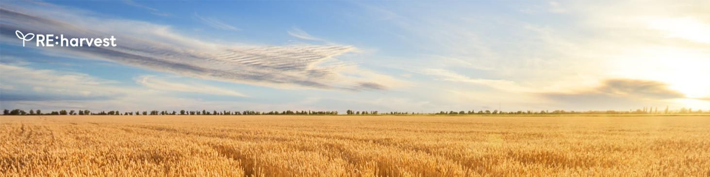 company-banner-image