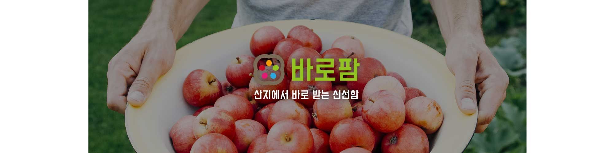 company-banner-image