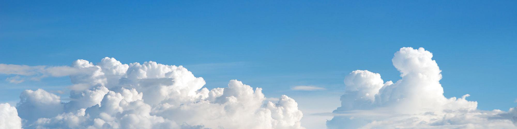 company-banner-image