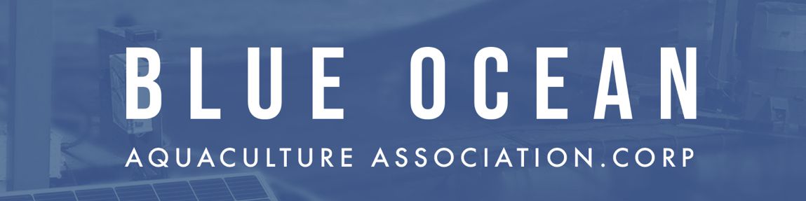 company-banner-image