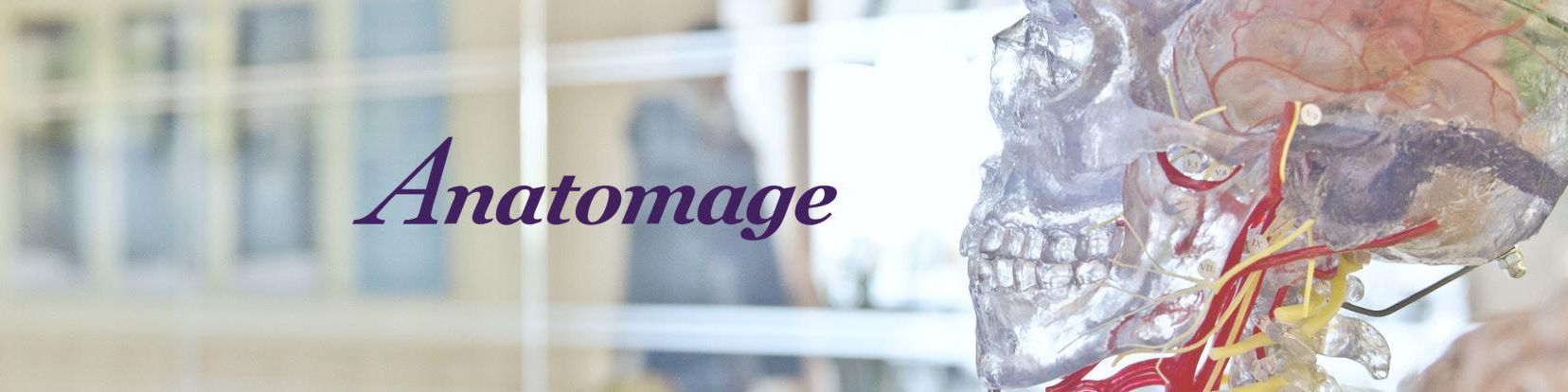 company-banner-image