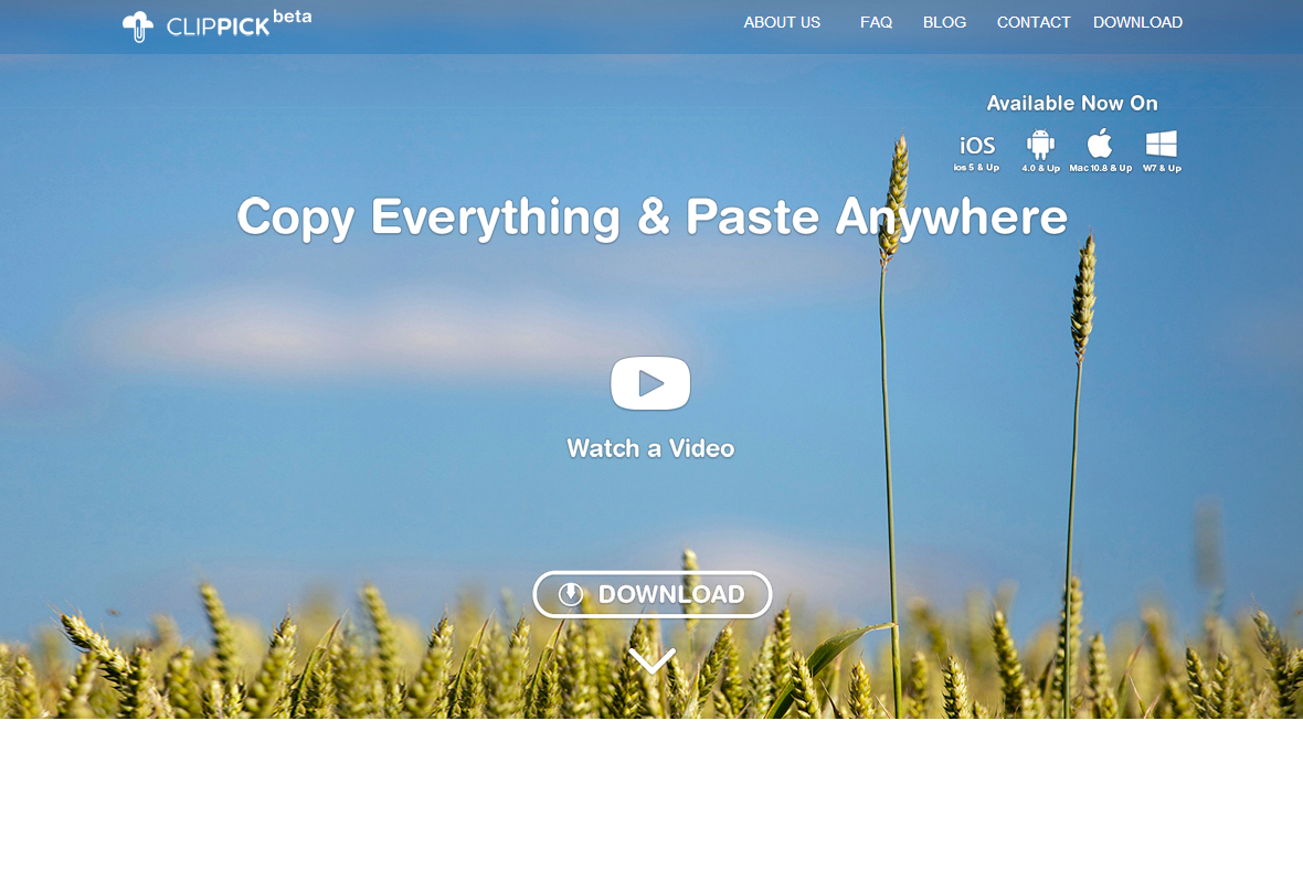 company-banner-image