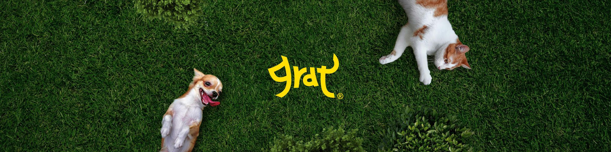 company-banner-image