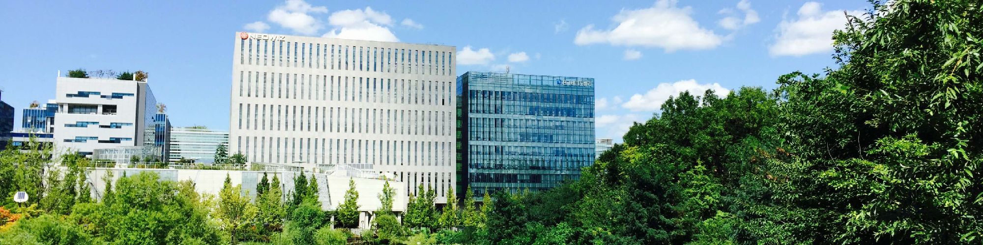 company-banner-image