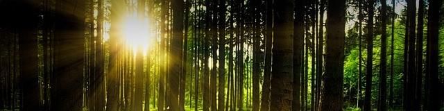 company-banner-image