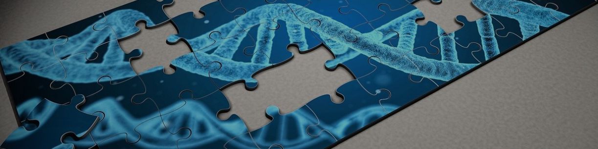 company-banner-image