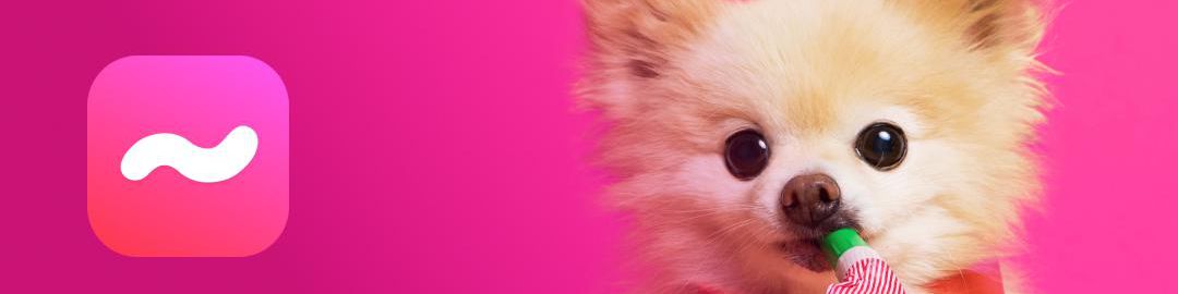 company-banner-image