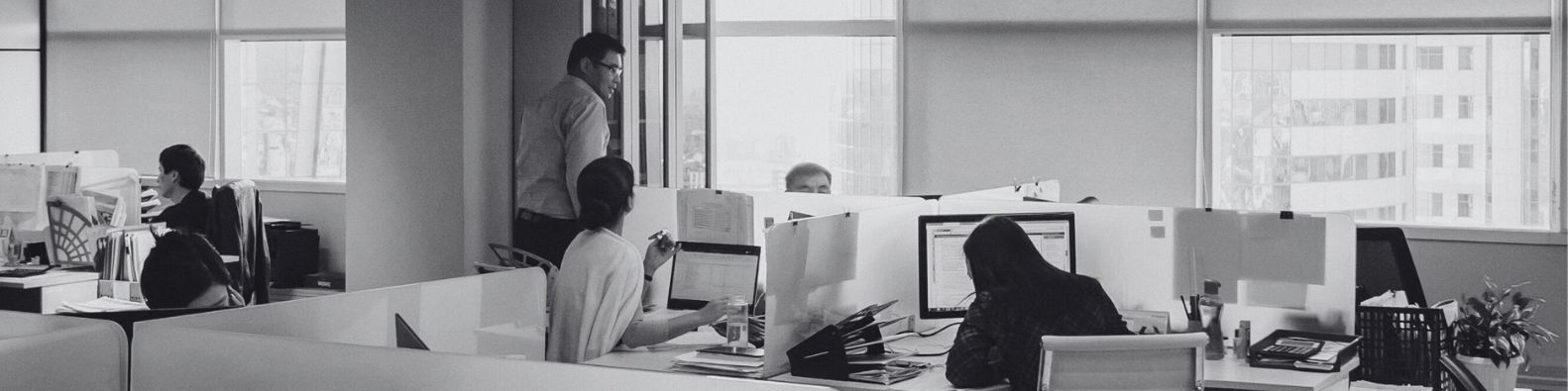 company-banner-image