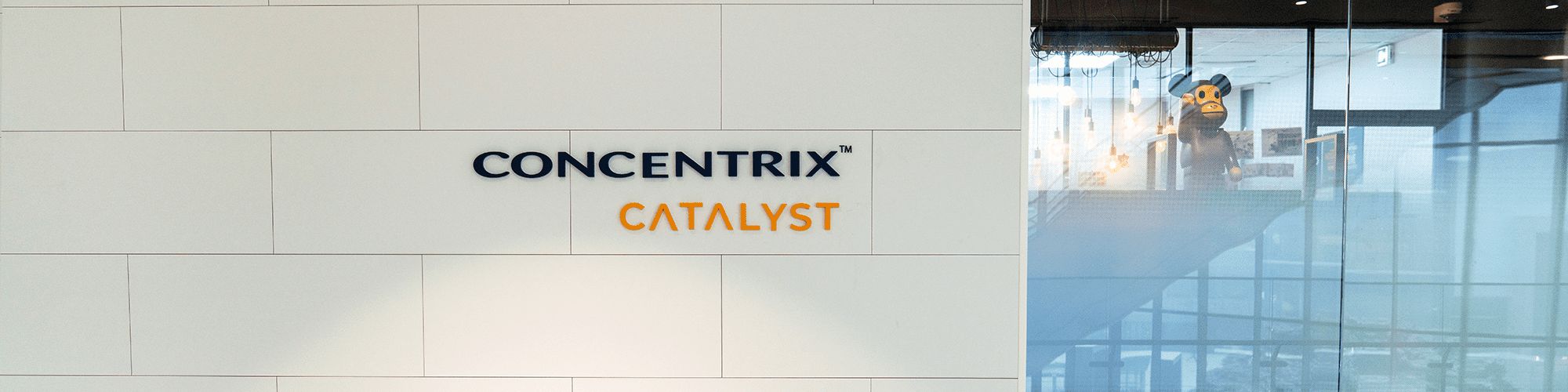 company-banner-image
