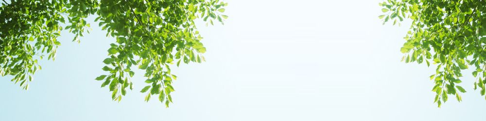 company-banner-image