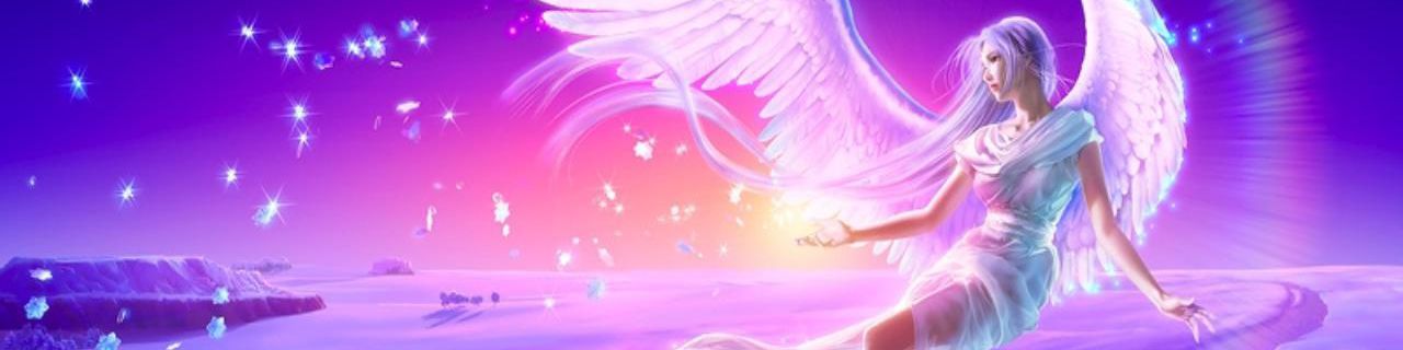 company-banner-image