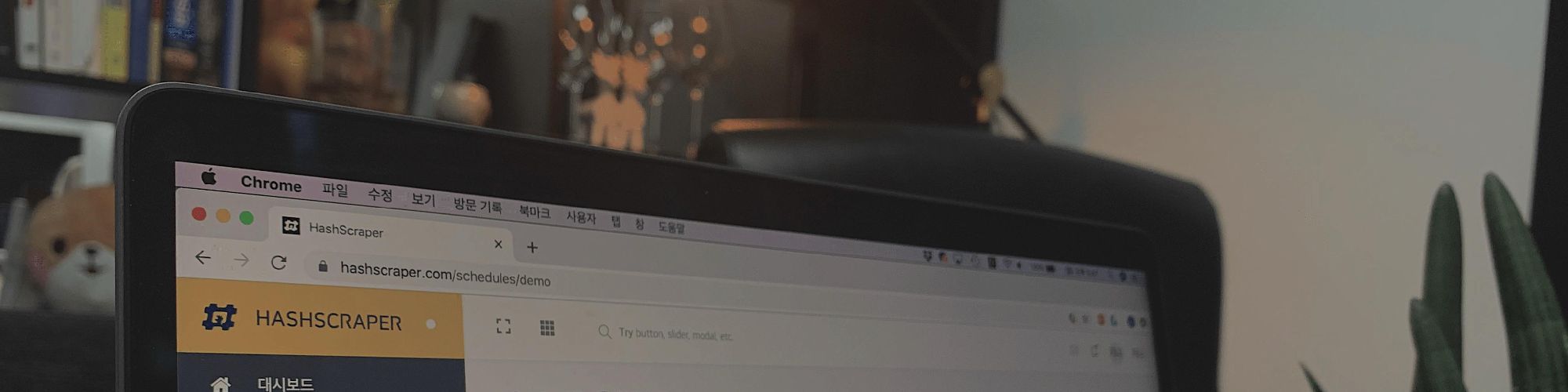 company-banner-image