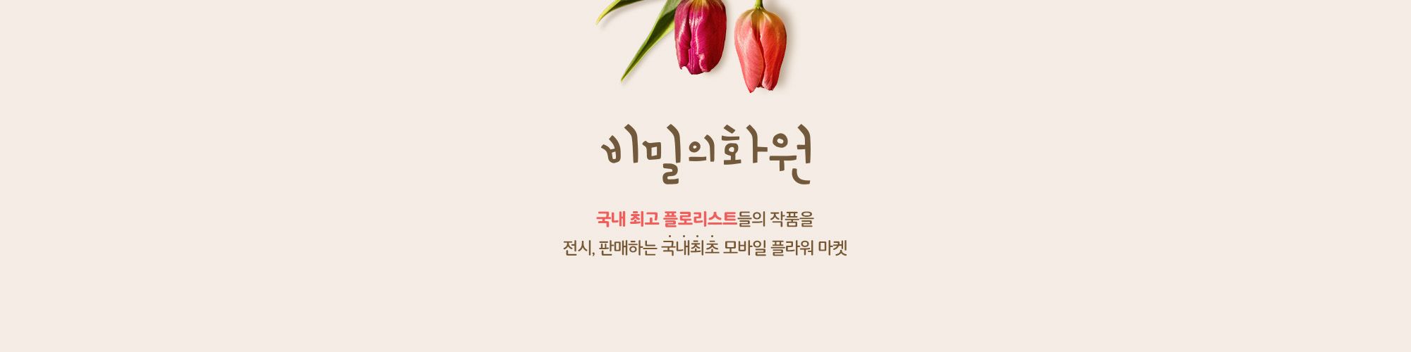 company-banner-image