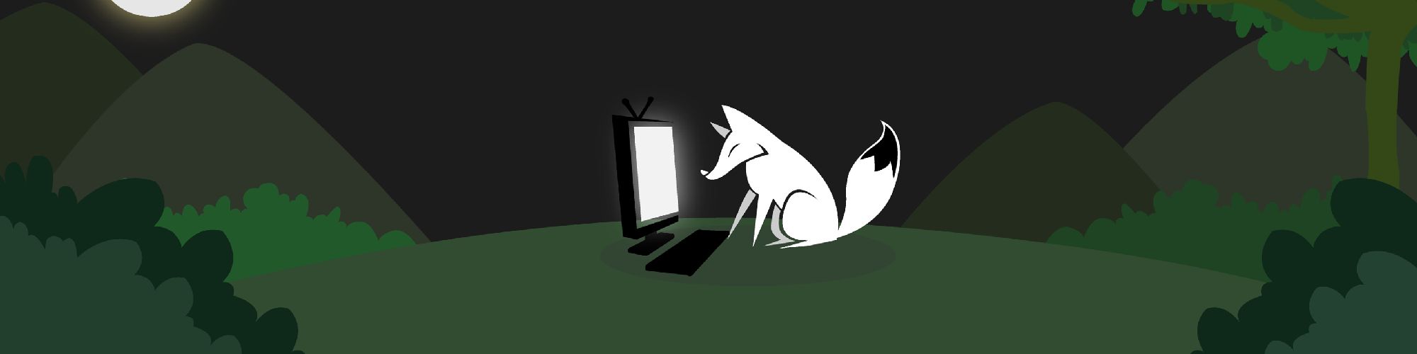 company-banner-image