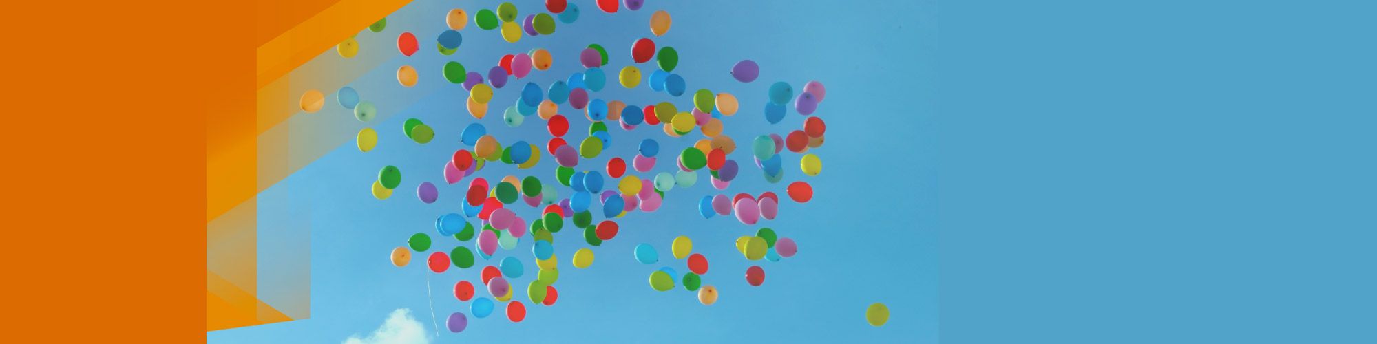 company-banner-image