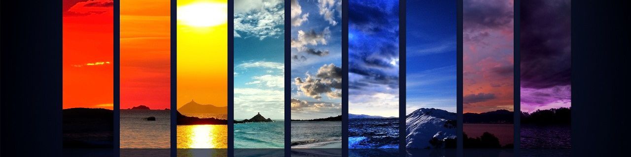 company-banner-image