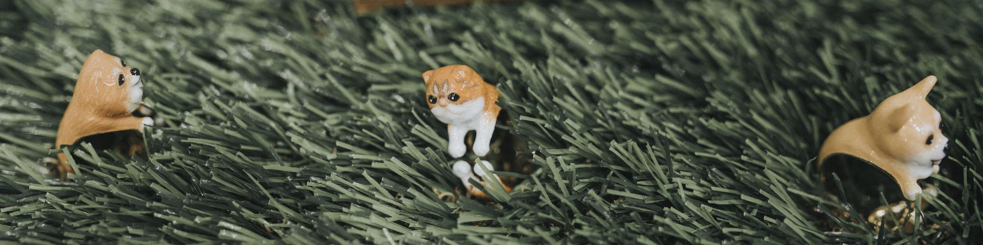 company-banner-image