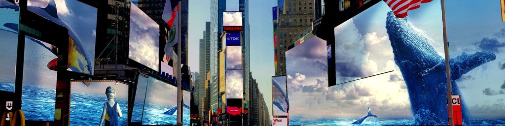 company-banner-image