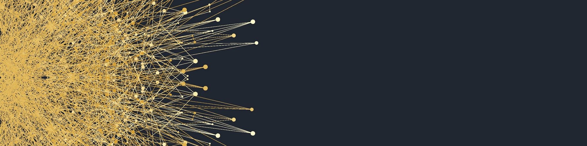 company-banner-image