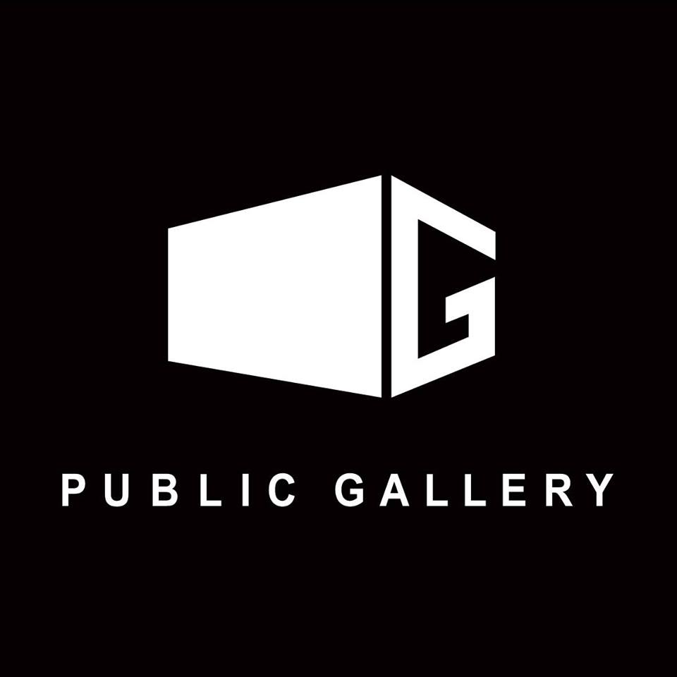 Public Gallery logo