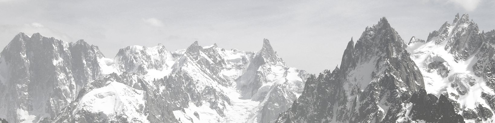 company-banner-image