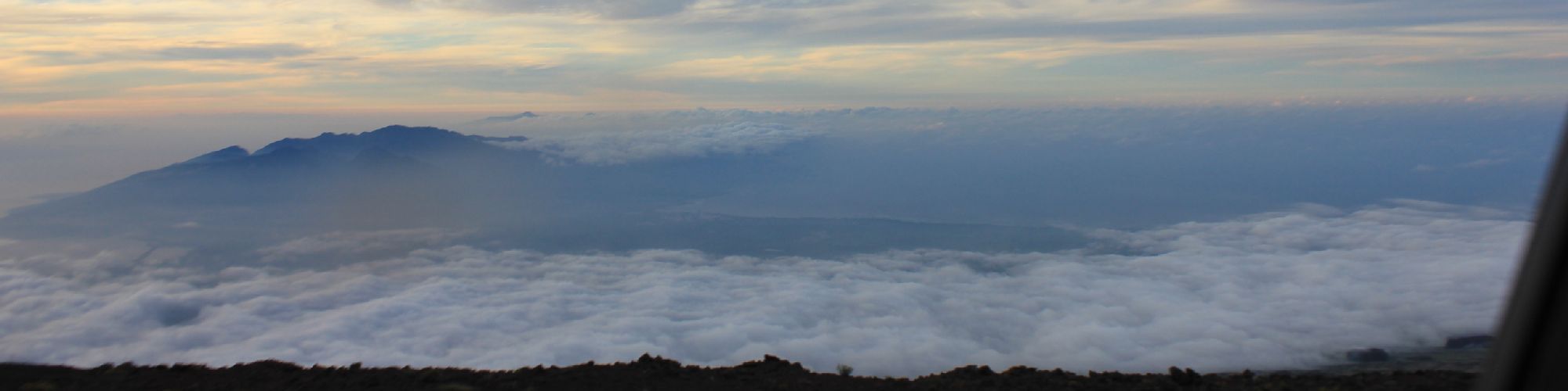 company-banner-image