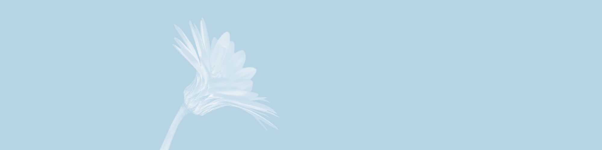 company-banner-image