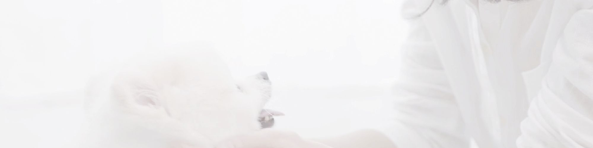 company-banner-image