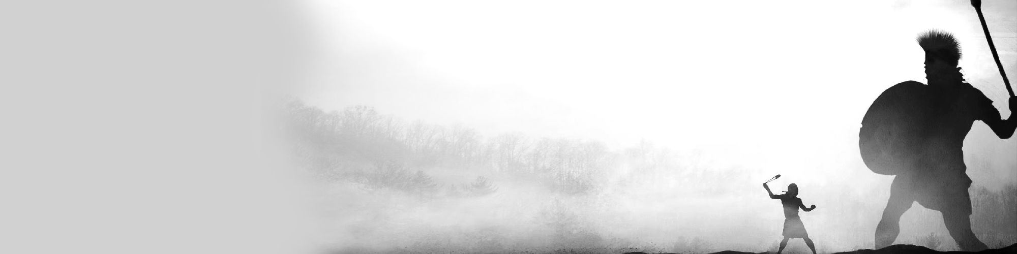 company-banner-image