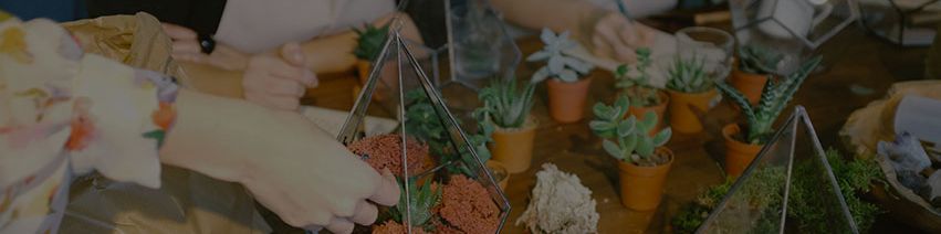 company-banner-image
