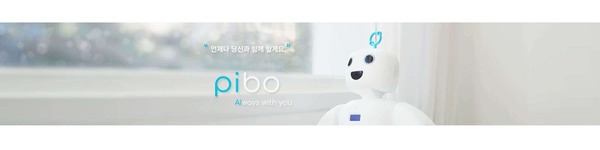 company-banner-image