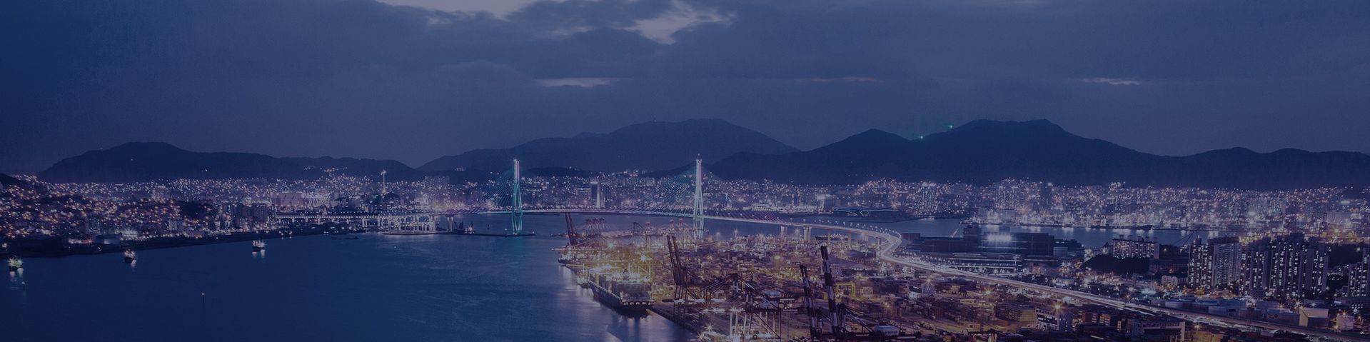company-banner-image