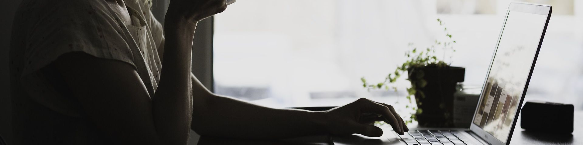 company-banner-image
