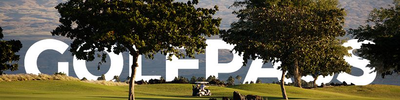 company-banner-image
