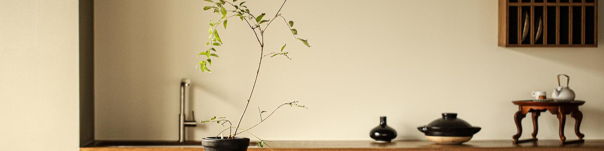 company-banner-image