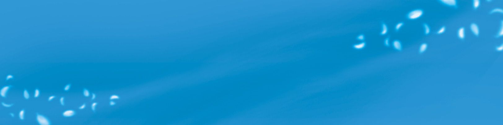 company-banner-image