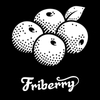 프라이베리 logo