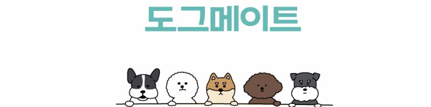 company-banner-image