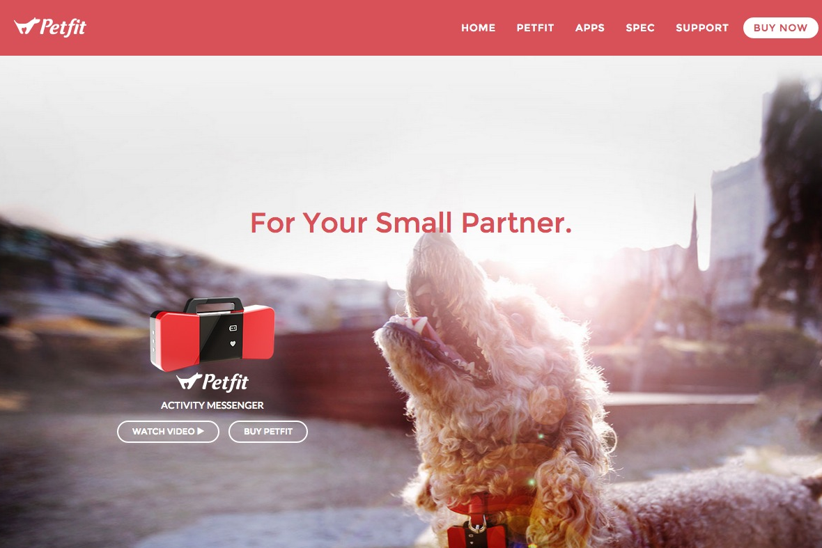 company-banner-image