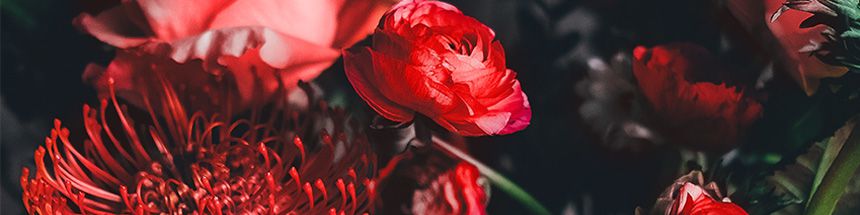 company-banner-image